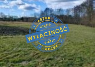 działka na sprzedaż - Gorzyce, Rogów